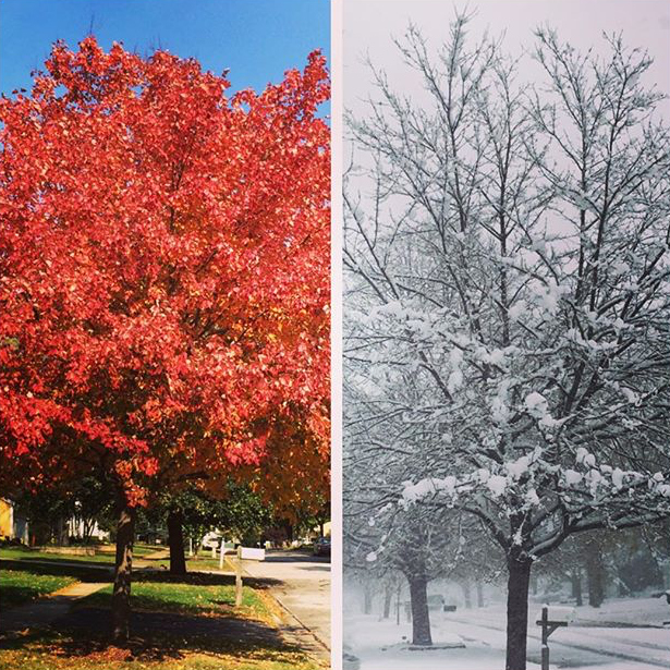 Fall to Winter - @chazminbaechler